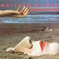 Cover Matthew Wilder - Break My Stride