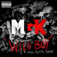 Cover MGK feat. Waka Flocka Flame - Wild Boy