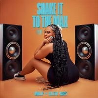 Cover Moliy + Silent Addy - Shake It To The Max (Fly)