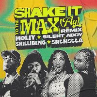 Cover Moliy + Silent Addy - Shake It To The Max (Fly)