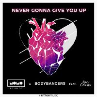 Cover Momo Soundz & Bodybangers feat. Facu Celasco - Never Gonna Give You Up