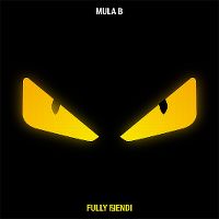 Cover Mula B - Fully Fendi