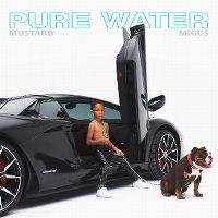 Cover Mustard / Migos - Pure Water