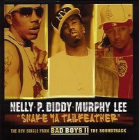 Cover Nelly / P. Diddy / Murphy Lee - Shake Ya Tailfeather