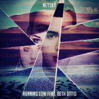 Cover Netsky feat. Beth Ditto - Running Low