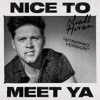 Cover Niall Horan - Nice To Meet Ya