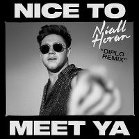 Cover Niall Horan - Nice To Meet Ya