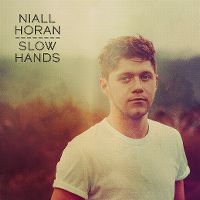 Cover Niall Horan - Slow Hands