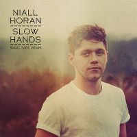 Cover Niall Horan - Slow Hands
