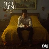 Cover Niall Horan - Too Much To Ask