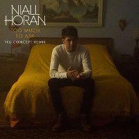 Cover Niall Horan - Too Much To Ask