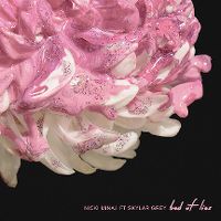 Cover Nicki Minaj feat. Skylar Grey - Bed Of Lies