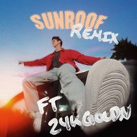 Cover Nicky Youre & Dazy - Sunroof