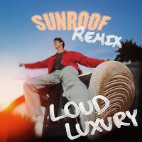Cover Nicky Youre & Dazy - Sunroof