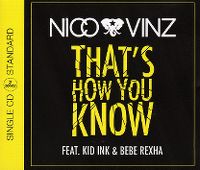 Cover Nico & Vinz feat. Kid Ink & Bebe Rexha - That's How You Know
