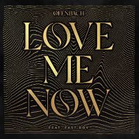 Cover Ofenbach feat. Fast Boy - Love Me Now