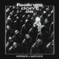 Cover Ofenbach & Salem Ilese - Feelings Don't Lie