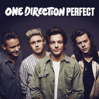 Cover One Direction - Perfect