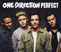 Cover One Direction - Perfect