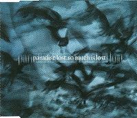 Cover Paradise Lost - So Much Is Lost