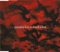 Cover Paradise Lost - So Much Is Lost
