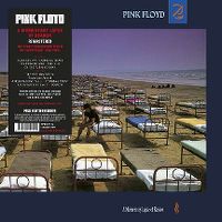 Cover Pink Floyd - A Momentary Lapse Of Reason
