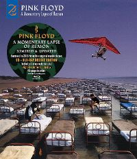 Cover Pink Floyd - A Momentary Lapse Of Reason