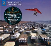 Cover Pink Floyd - A Momentary Lapse Of Reason