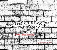 Cover Pink Floyd - Another Brick In The Wall (Part II)