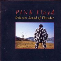 Cover Pink Floyd - Delicate Sound Of Thunder