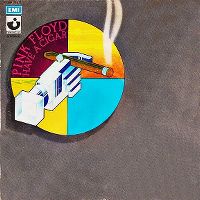 Cover Pink Floyd - Have A Cigar