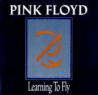 Cover Pink Floyd - Learning To Fly