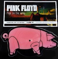 Cover Pink Floyd - Pigs On The Wing
