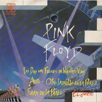 Cover Pink Floyd - The Happiest Days Of Our Lives