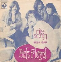 Cover Pink Floyd - The Nile Song