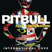 Cover Pitbull feat. Chris Brown - International Love