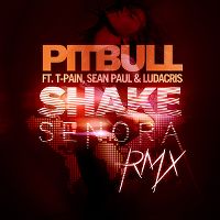 Cover Pitbull feat. T-Pain, Sean Paul & Ludacris - Shake Senora