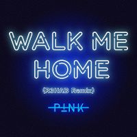 Cover P!nk - Walk Me Home