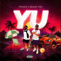 Cover Priceless & Ronnie Flex - Yu