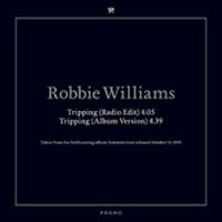 Cover Robbie Williams - Tripping