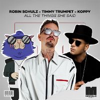 Cover Robin Schulz x Timmy Trumpet x Koppy - All The Things She Said