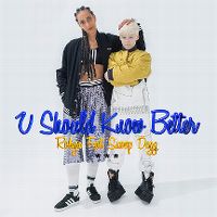 Cover Robyn feat. Snoop Dogg - U Should Know Better