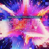 Cover Rocco x Perfect Pitch x Steve Modana - Wake Up Lonely