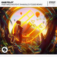 Cover Sam Feldt feat. Rani - Post Malone