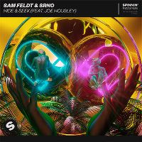 Cover Sam Feldt & SRNO feat. Joe Housley - Hide & Seek