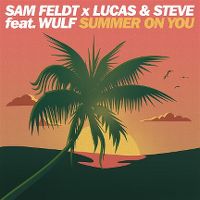 Cover Sam Feldt x Lucas & Steve feat. Wulf - Summer On You
