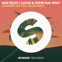 Cover Sam Feldt x Lucas & Steve feat. Wulf - Summer On You