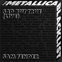 Cover Sam Fender - Sad But True