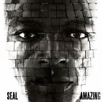 Cover Seal - Amazing