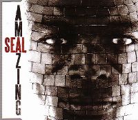 Cover Seal - Amazing